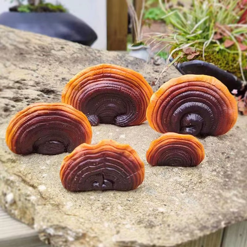 5Pcs Resin Mushroom Tree Hugger Ganoderma Figurines Tree Sculpture Dark Mushroom Yard Decor Fairy Mushroom Garden Decorations