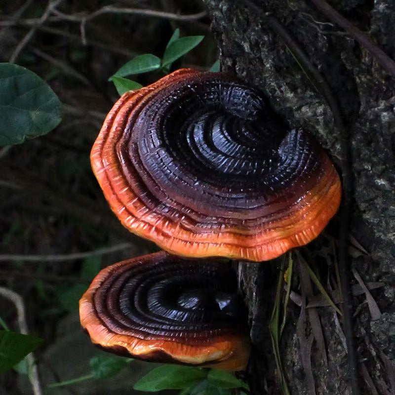 5Pcs Resin Mushroom Tree Hugger Ganoderma Figurines Tree Sculpture Dark Mushroom Yard Decor Fairy Mushroom Garden Decorations