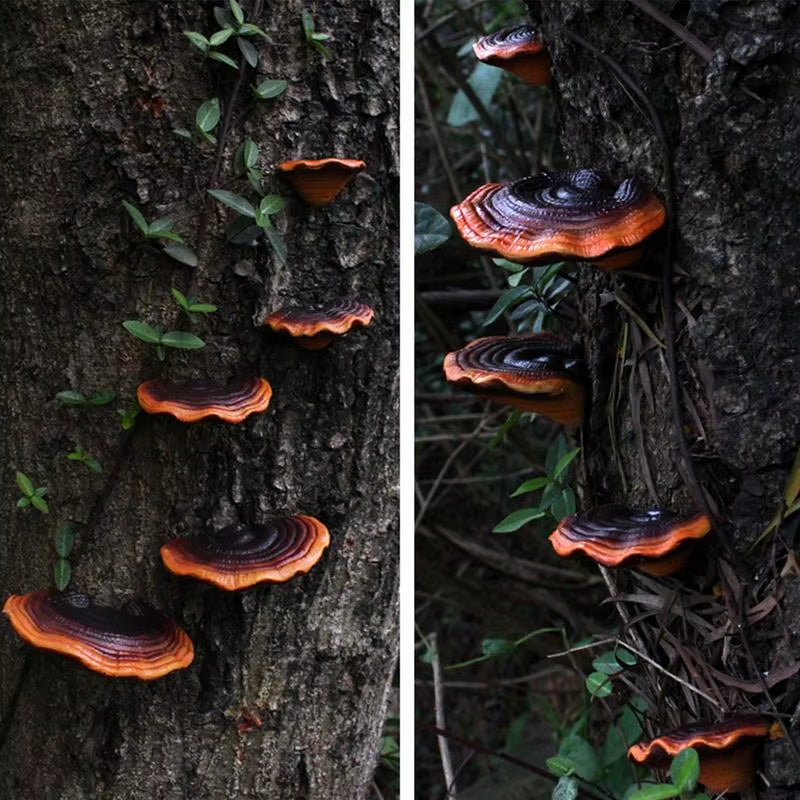 5Pcs Resin Mushroom Tree Hugger Ganoderma Figurines Tree Sculpture Dark Mushroom Yard Decor Fairy Mushroom Garden Decorations