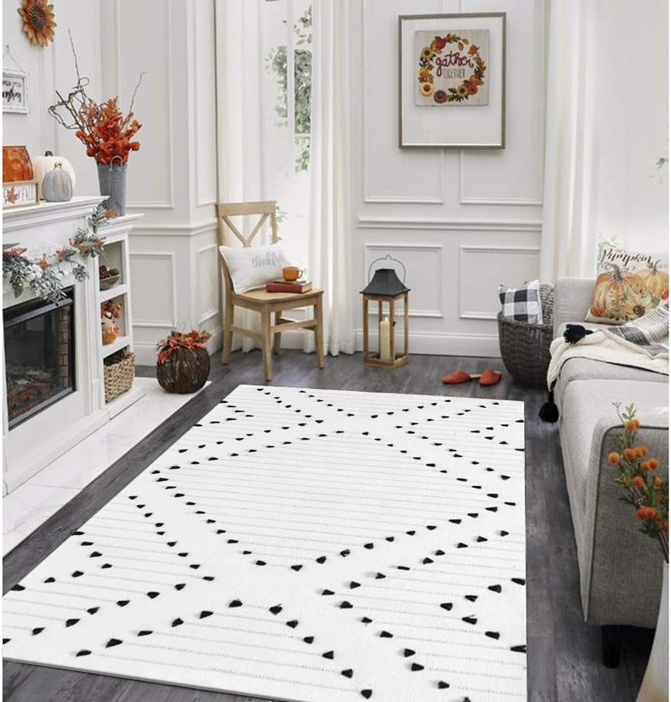 Boho Rug for Living Room 4' X 6', Moroccan Geometric Woven Cotton Large Area Rug, Machine Washable Rug Indoor Outdoor Rug for Bedroom Dining Room